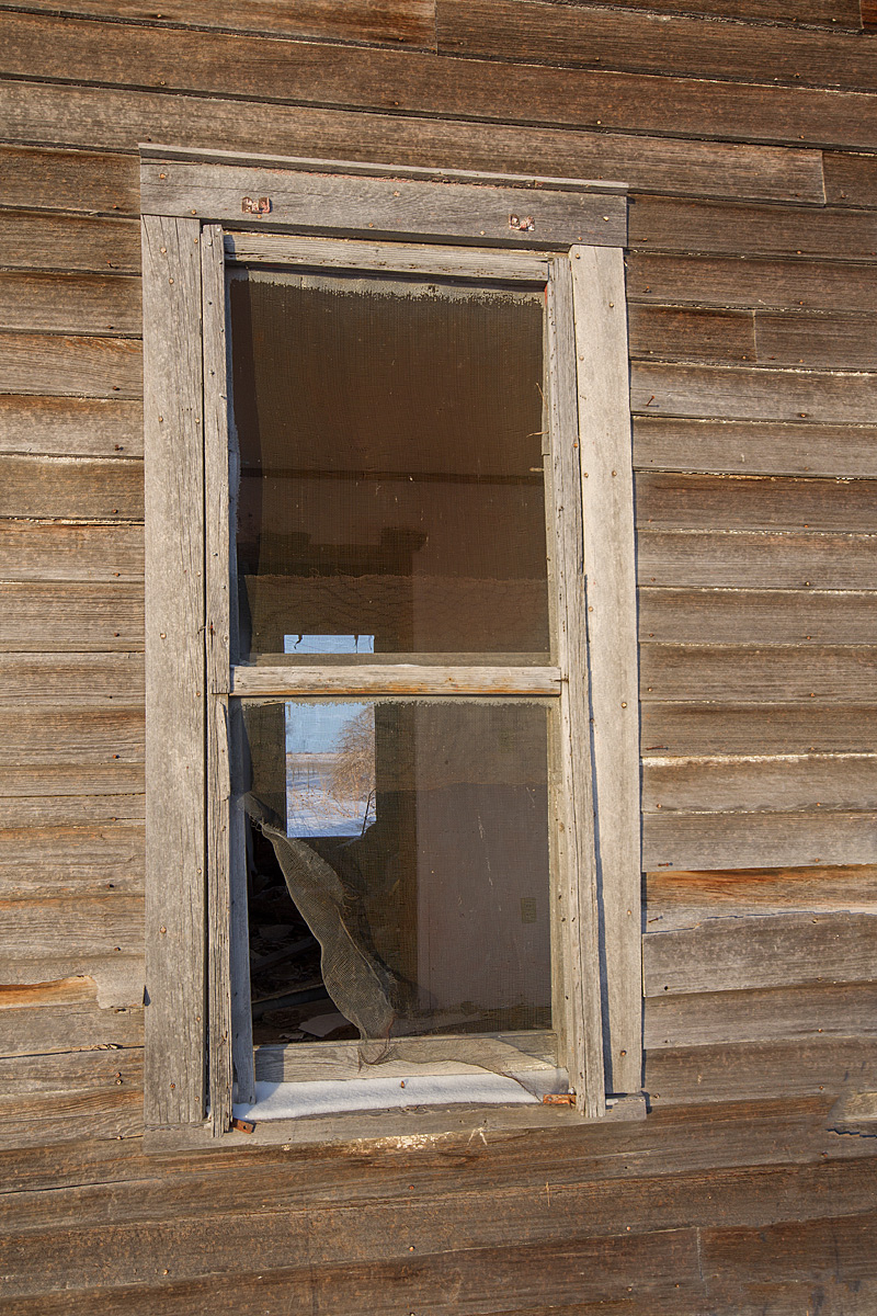 Through the Window