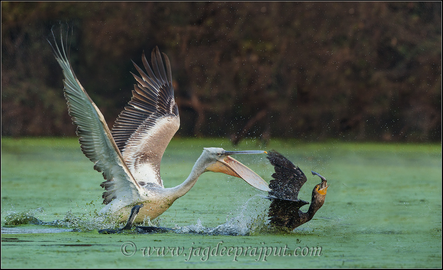 Fishing - II