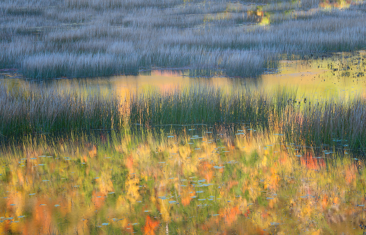 Reflections on the Tarn