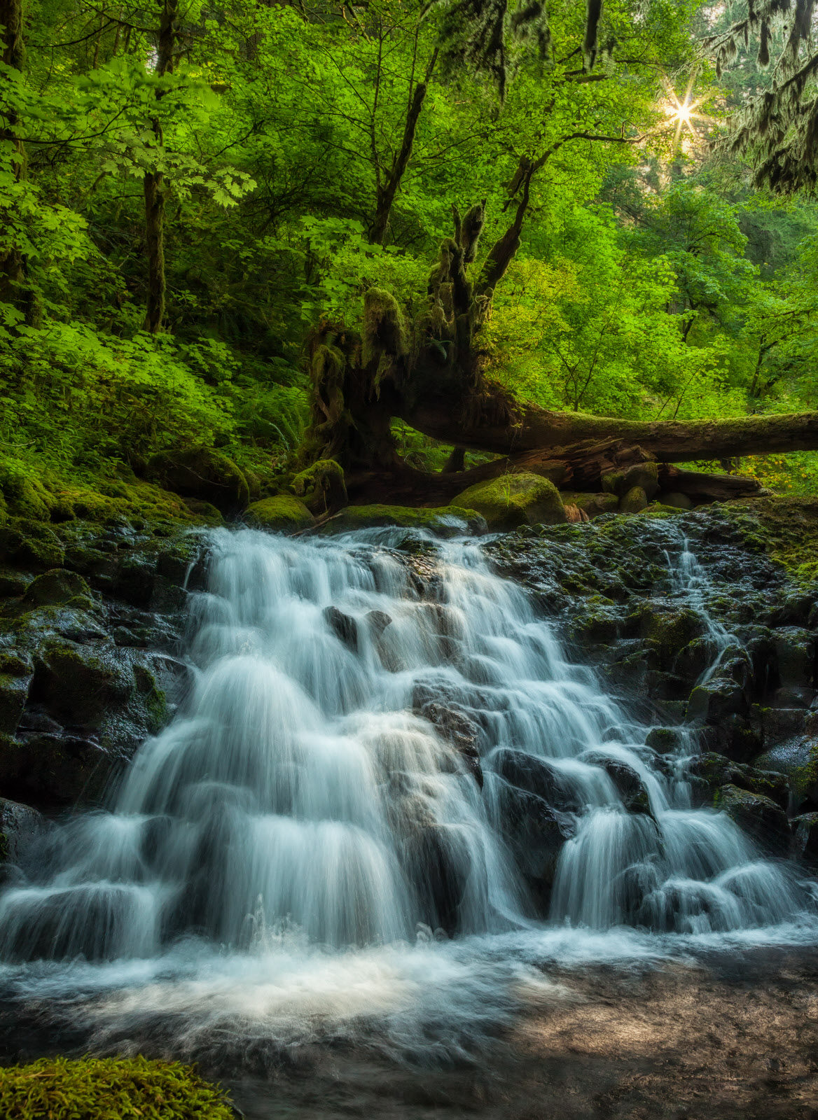 Upper McCord Creek