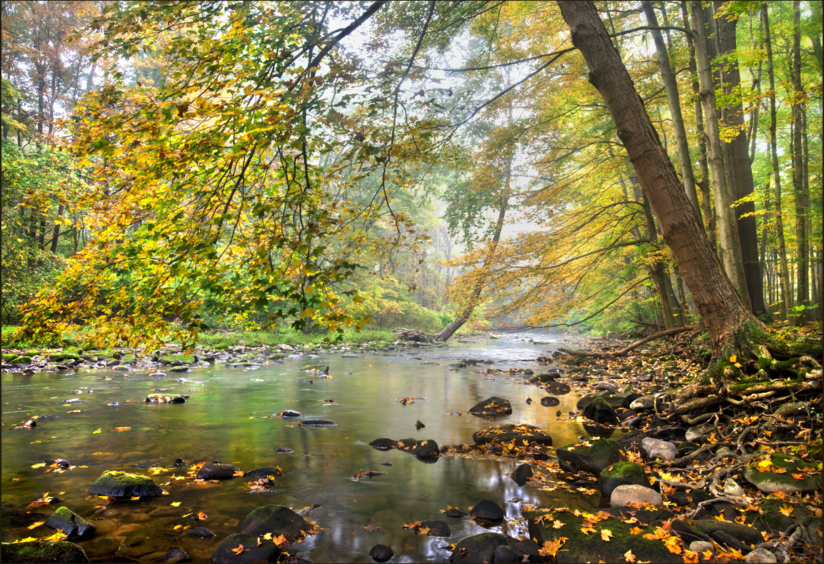 Mill Creek 