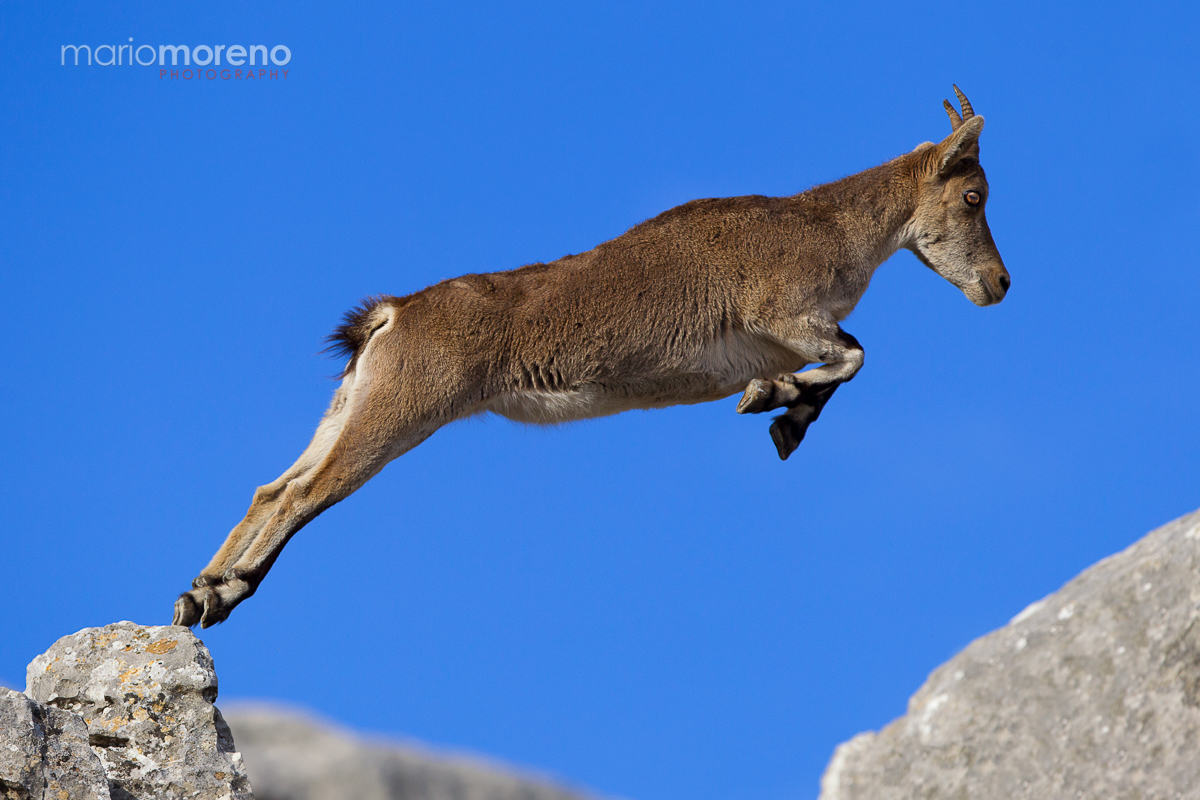 Flying Over Rocks