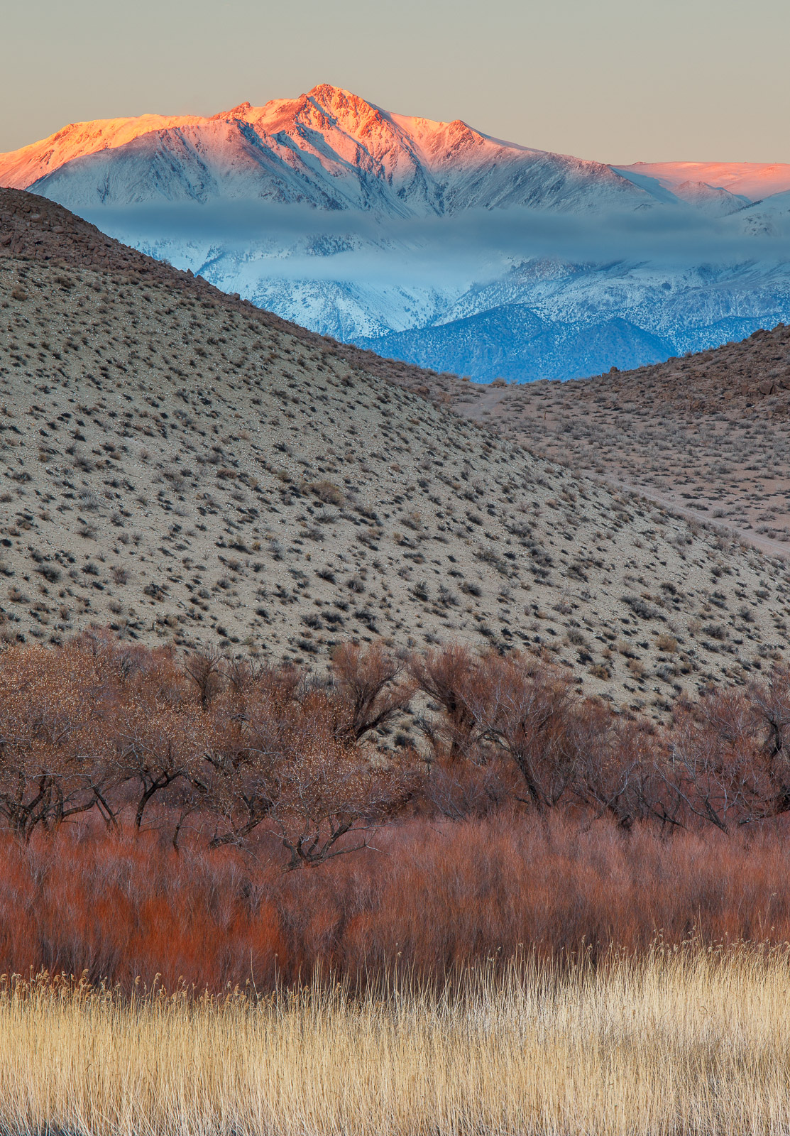 Desert Layers