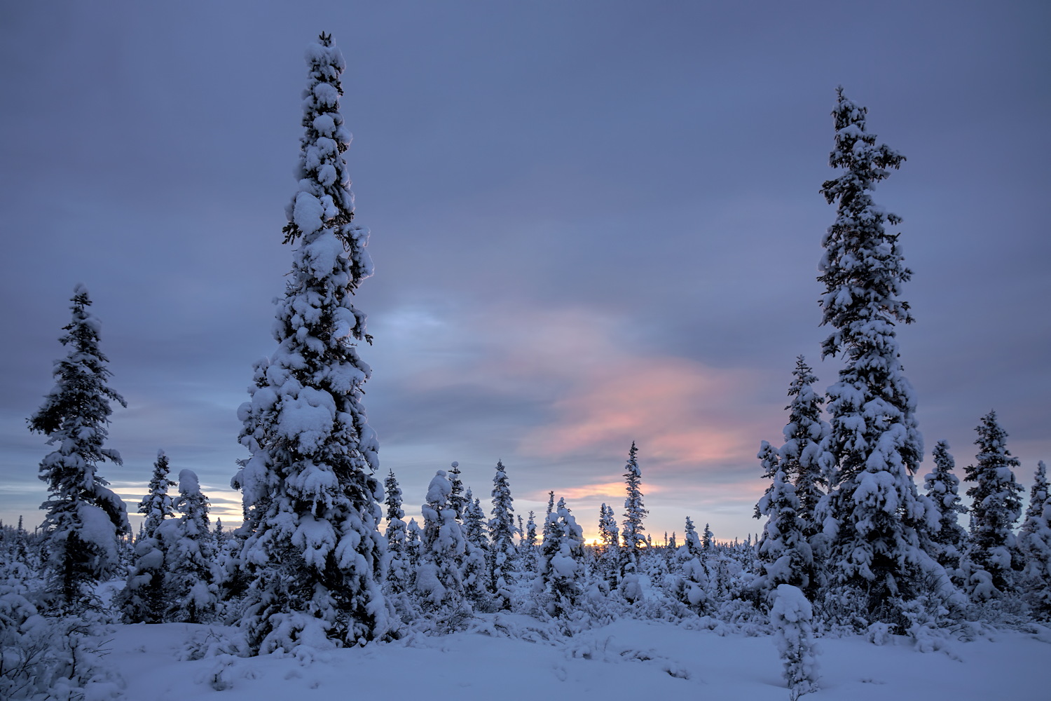 Fading Light