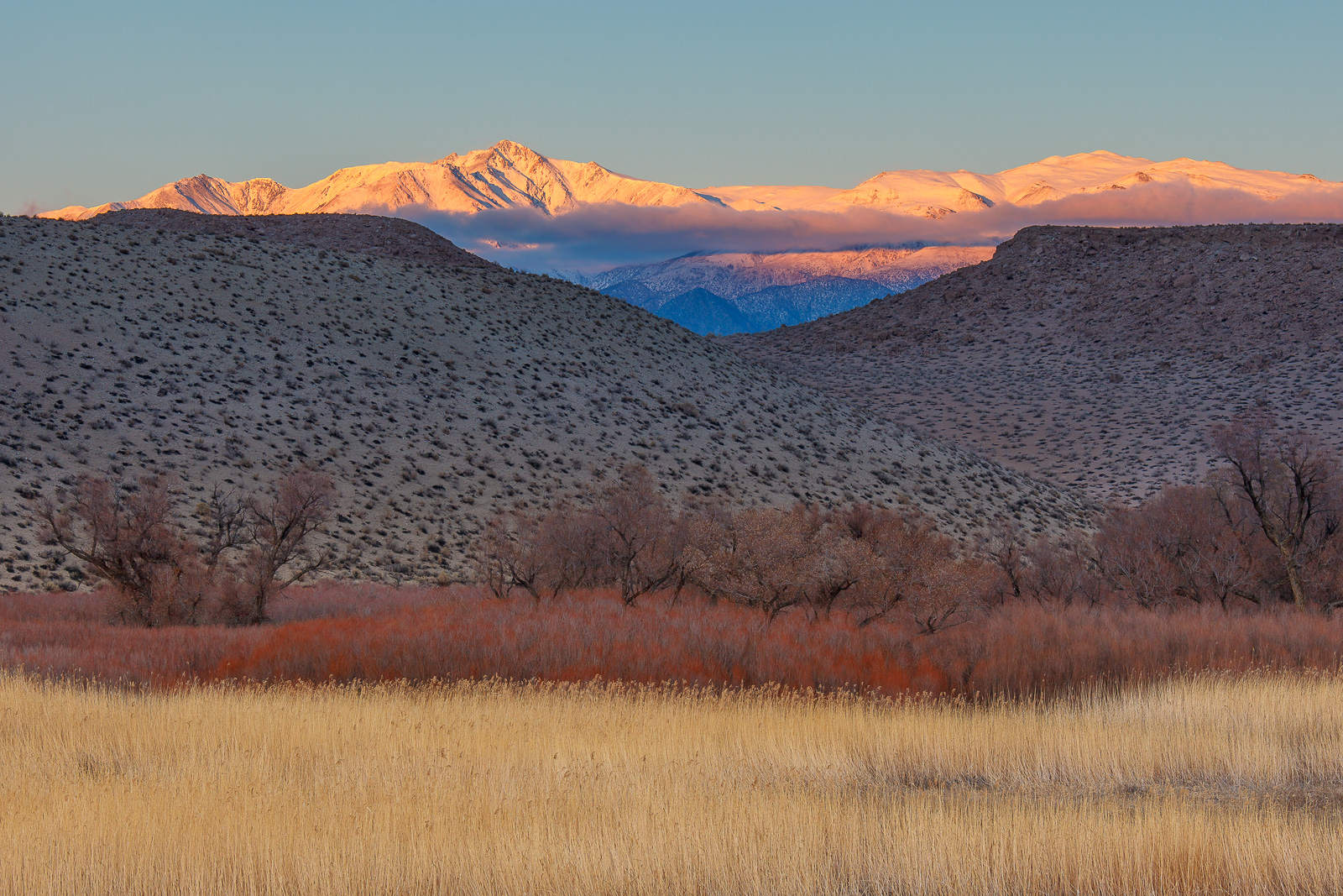 Desert Layers II