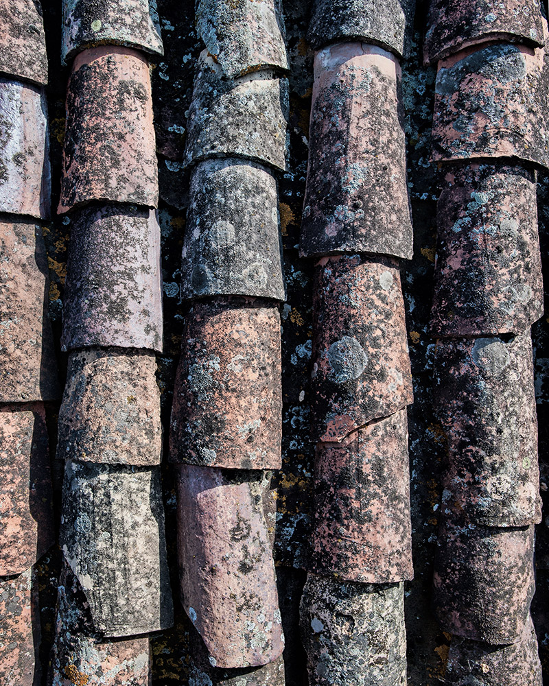 Roof with Lichen