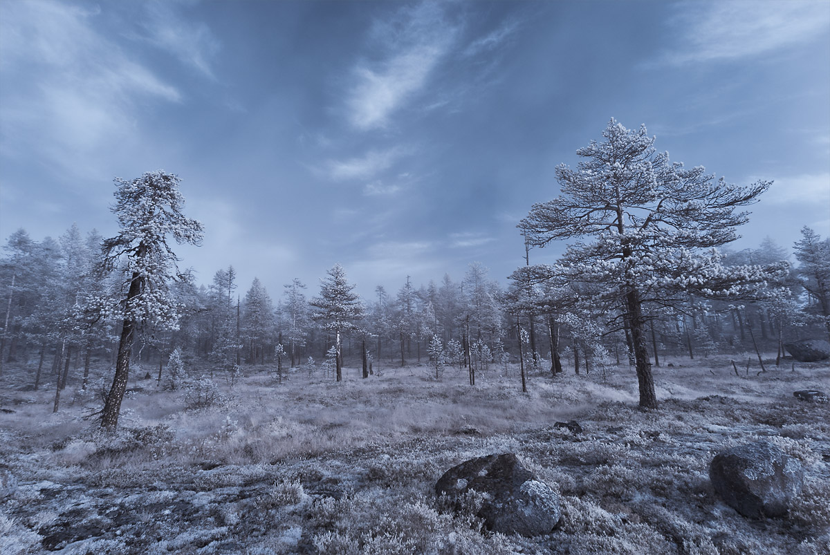 Misty blues