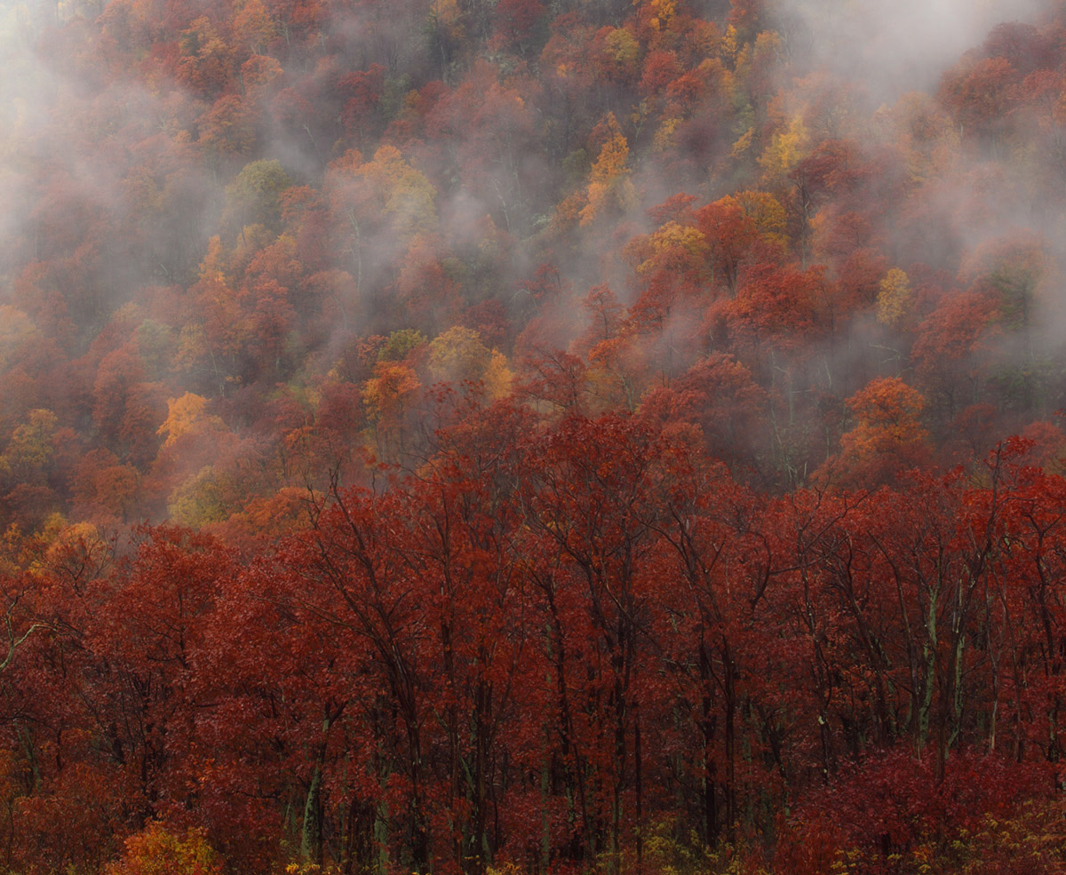 Smoky Mountain
