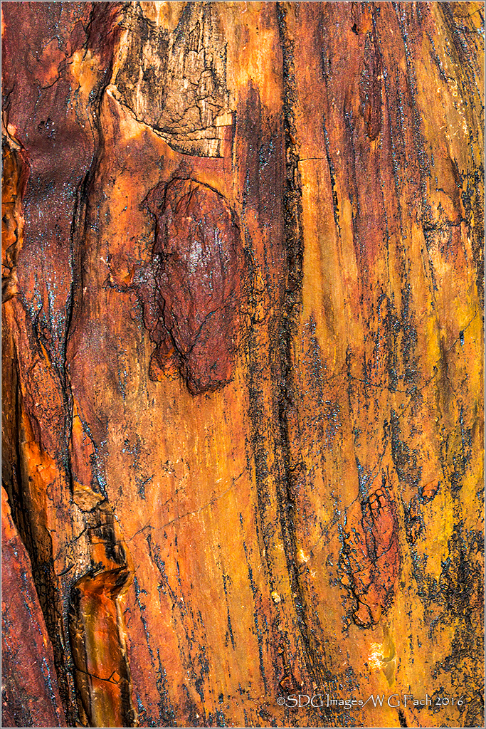 Ancient Flora 3