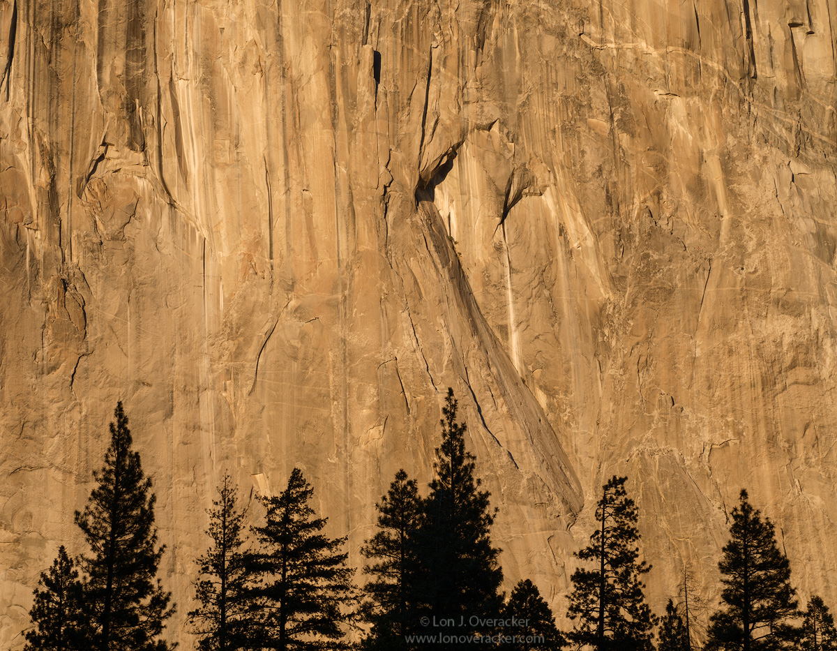 Heart of the Valley
