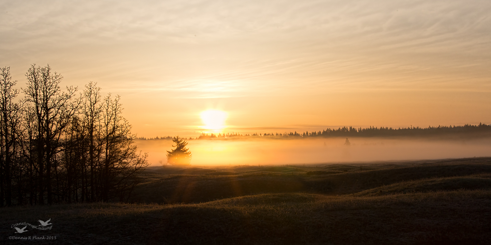 Prairie Sunrise