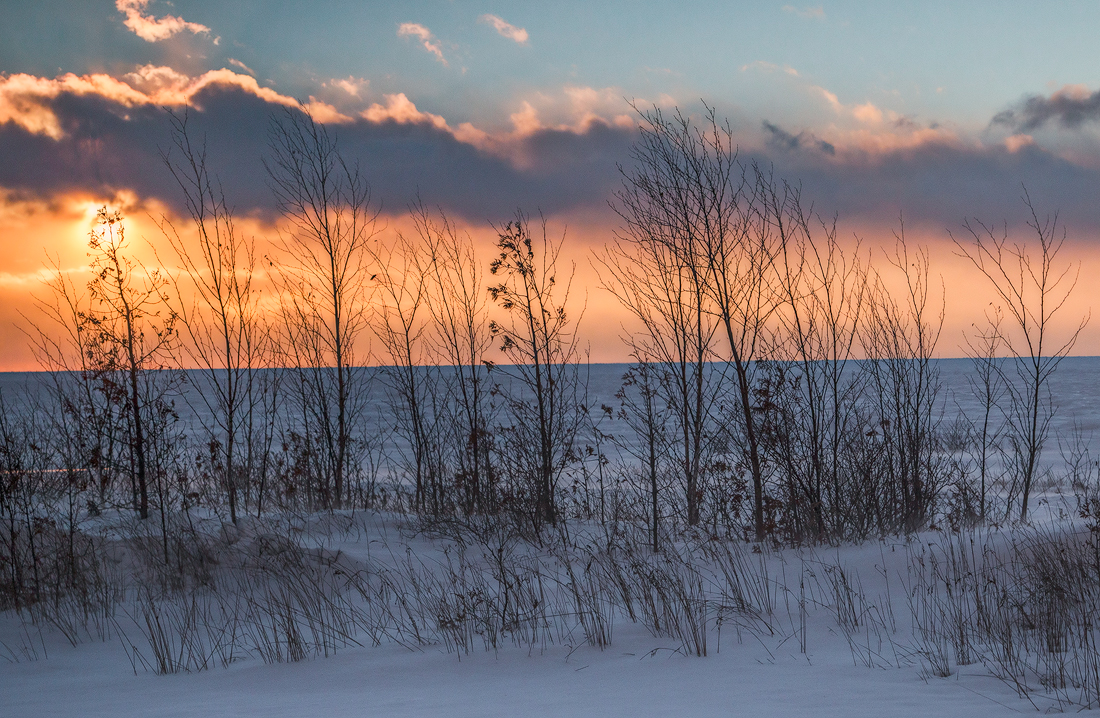 Winter's Bounty
