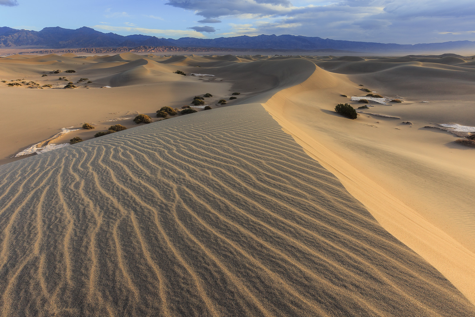 Mesquite Dunes - Repost