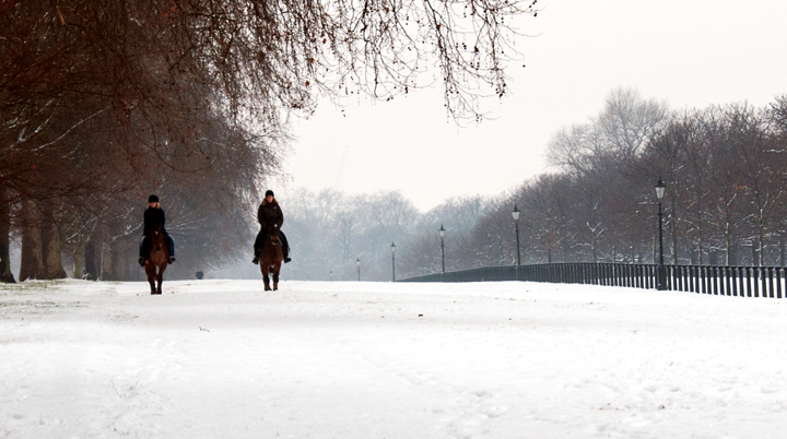 A snowy ride