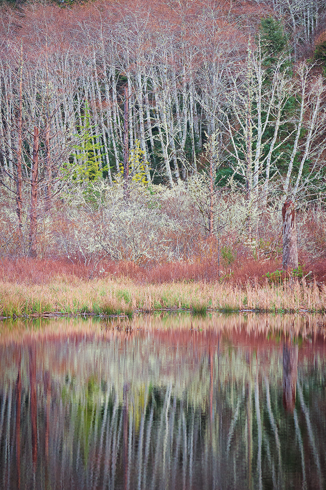 Bleak Midwinter [+edit]