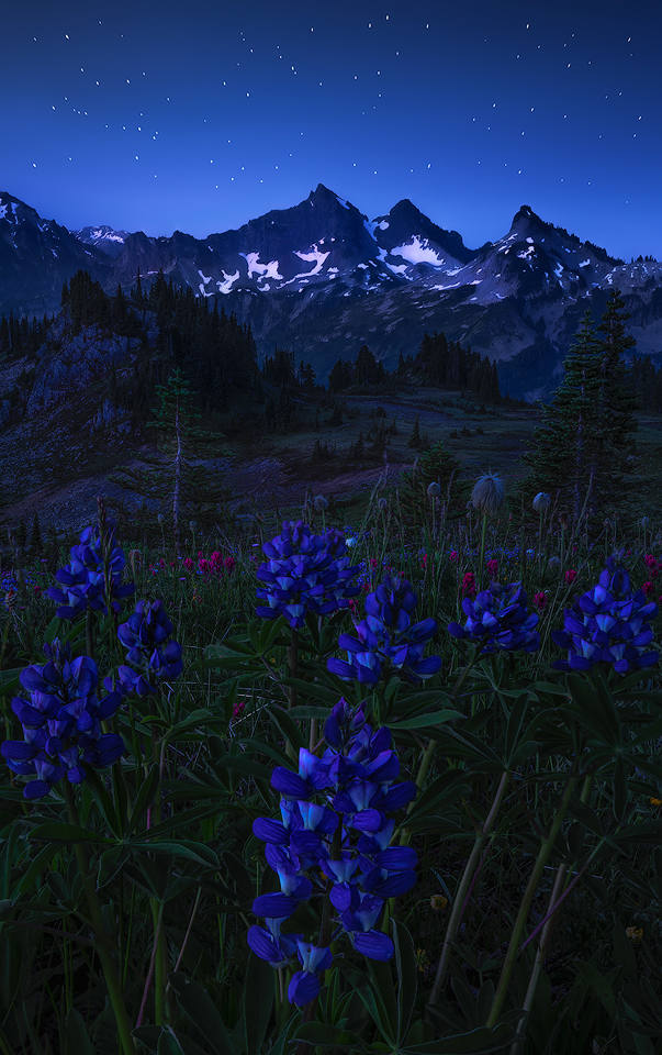 Repost + Twilight at Tatoosh