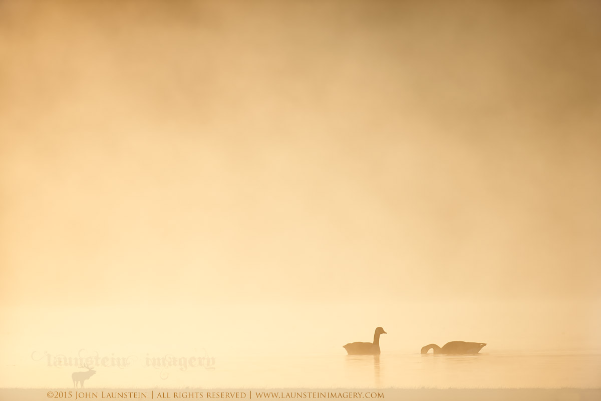 On Golden Water