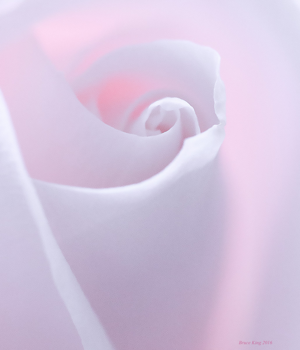 Soft Rose Pastel and repost