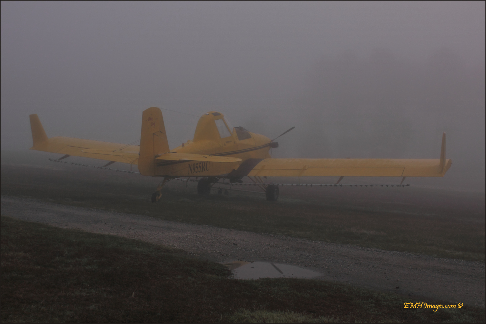 Foggy Morning