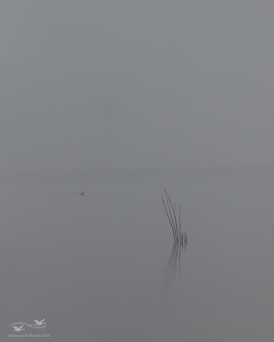 Minimalism & Repost