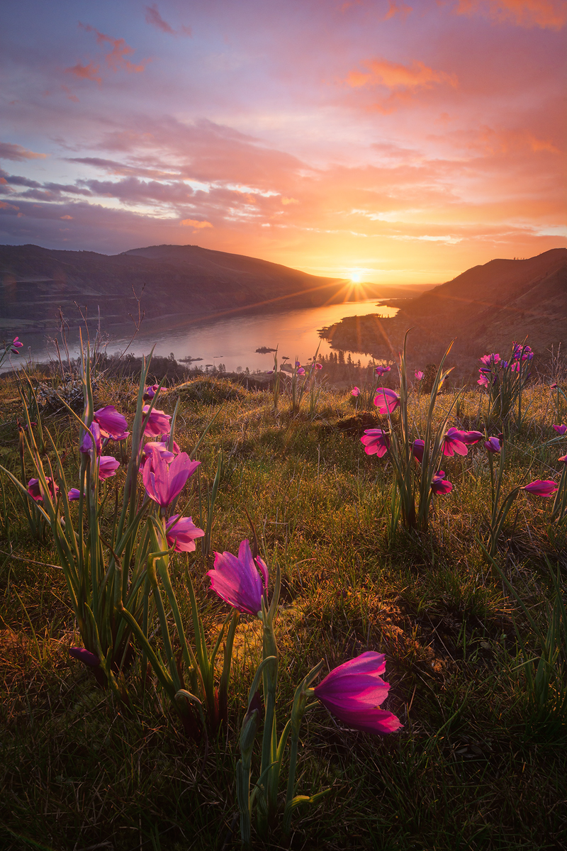 Welcome Renewal