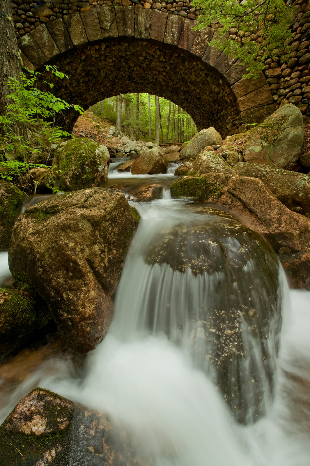 Jordon Pond stream + repost