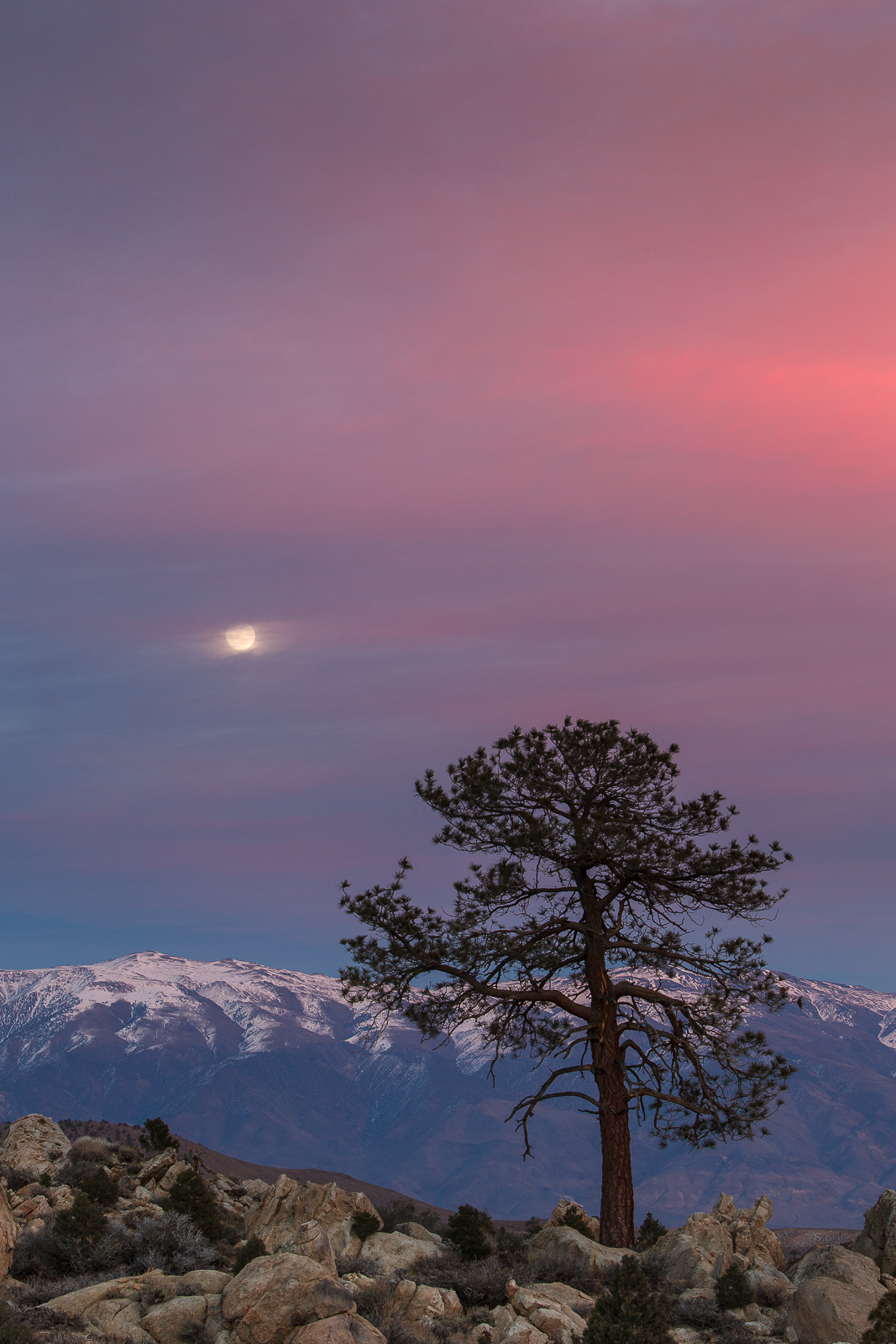 High Desert Moonrise + Repost