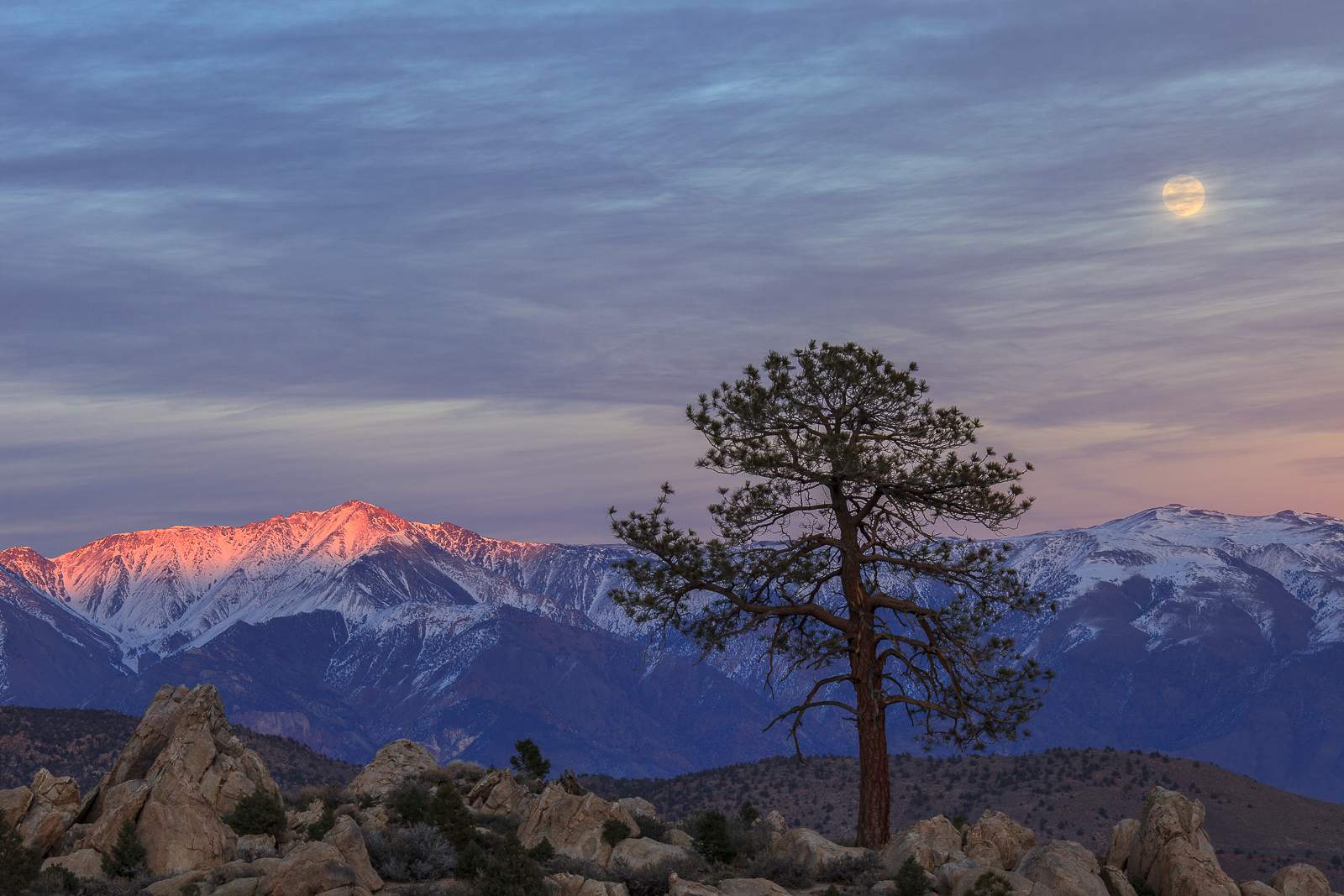White Mtn Moonrise