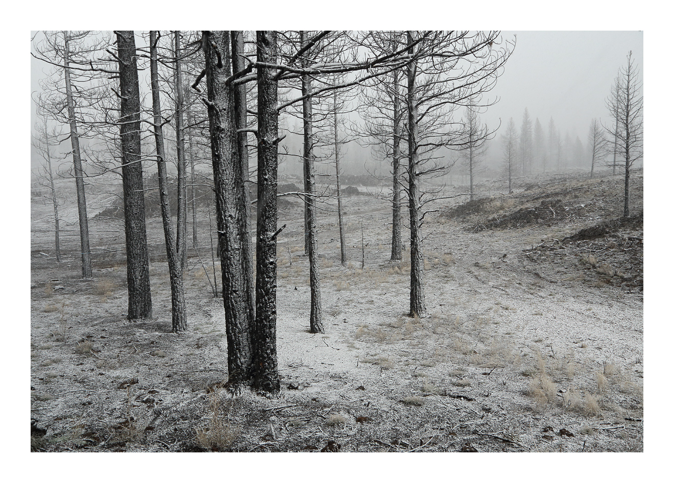 A Dusting