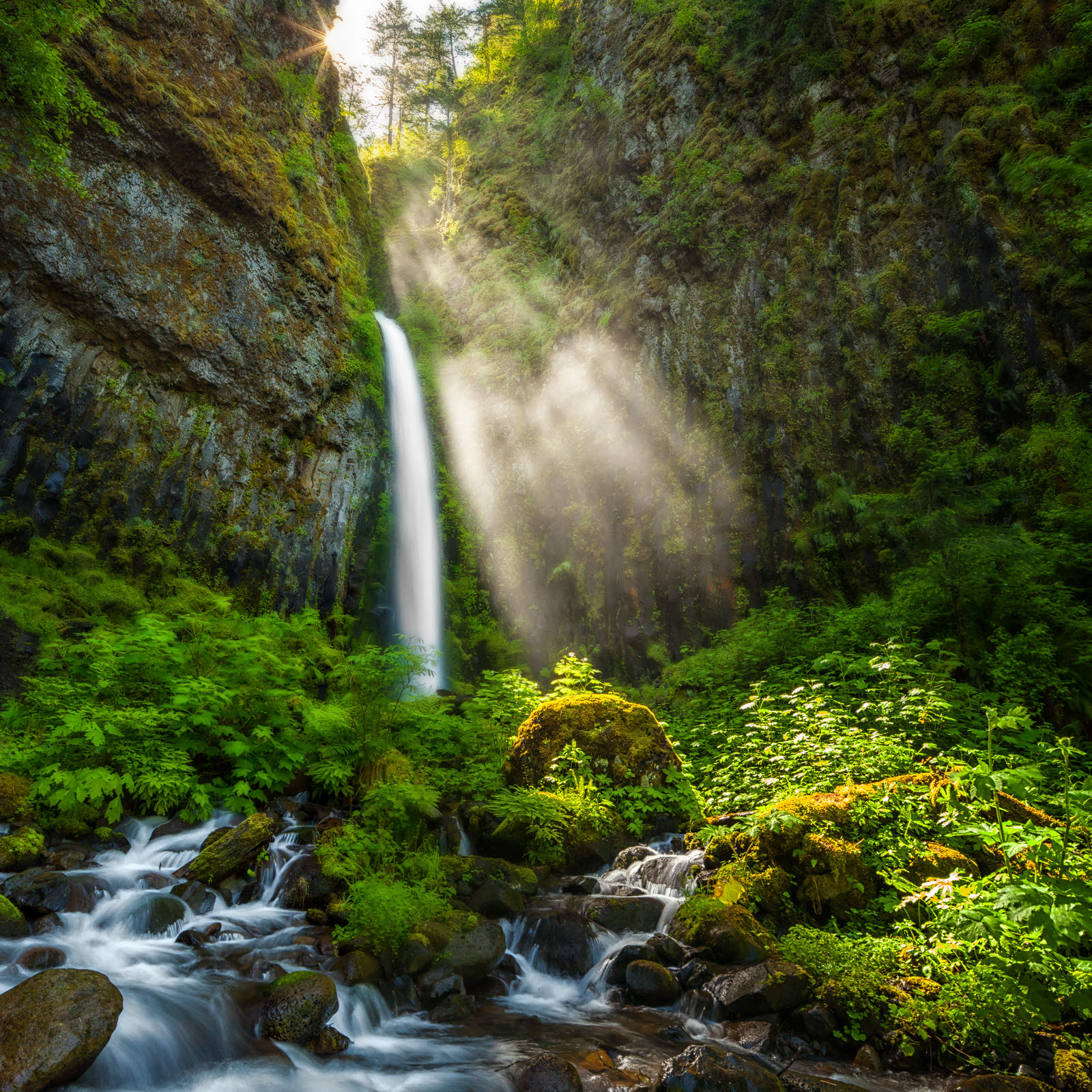Dry Creek Falls, Summer