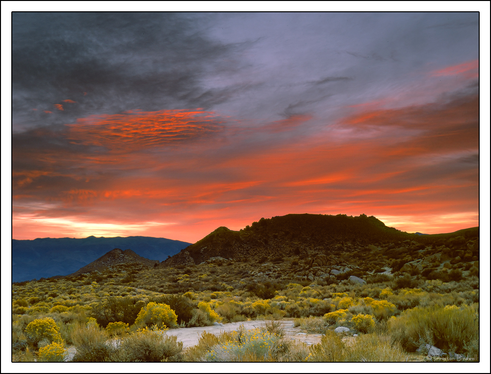 Buttermilk Sunrise