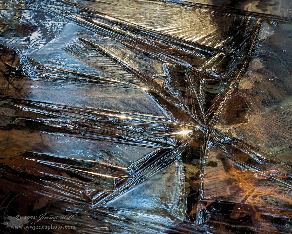 Ice star/Sun star