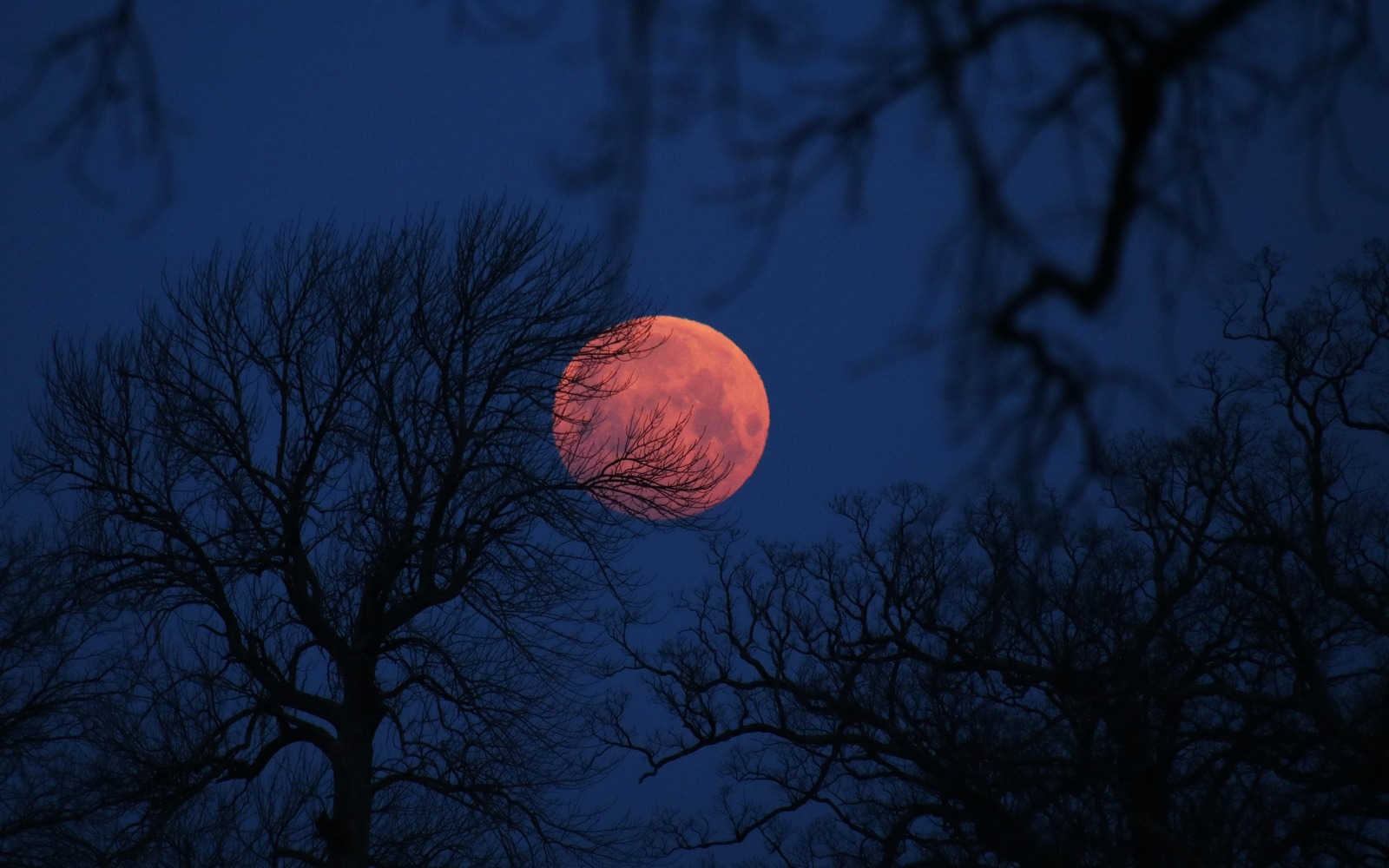 Blood moon, Illinois