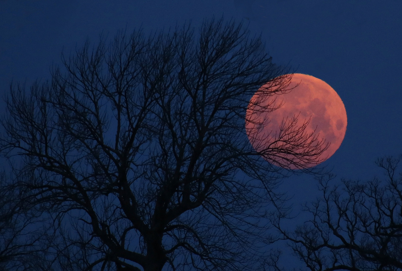 blood moon 2