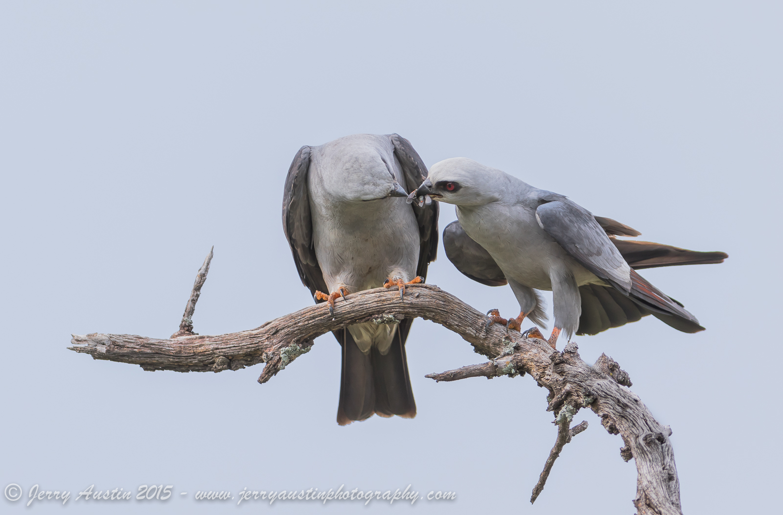 Tender Moment