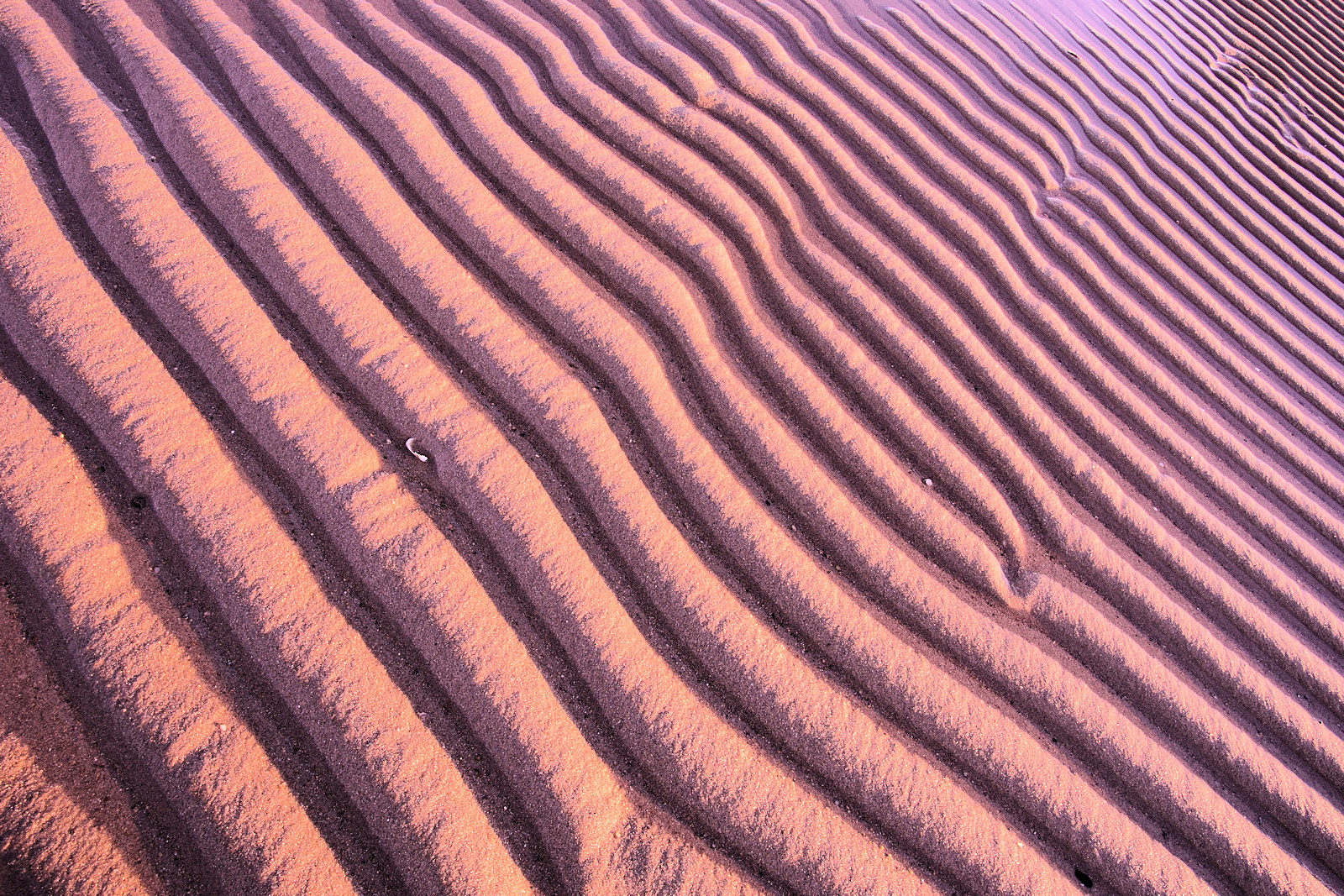 Low Tide #729