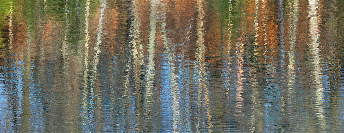 Abstract #729 (+alt)