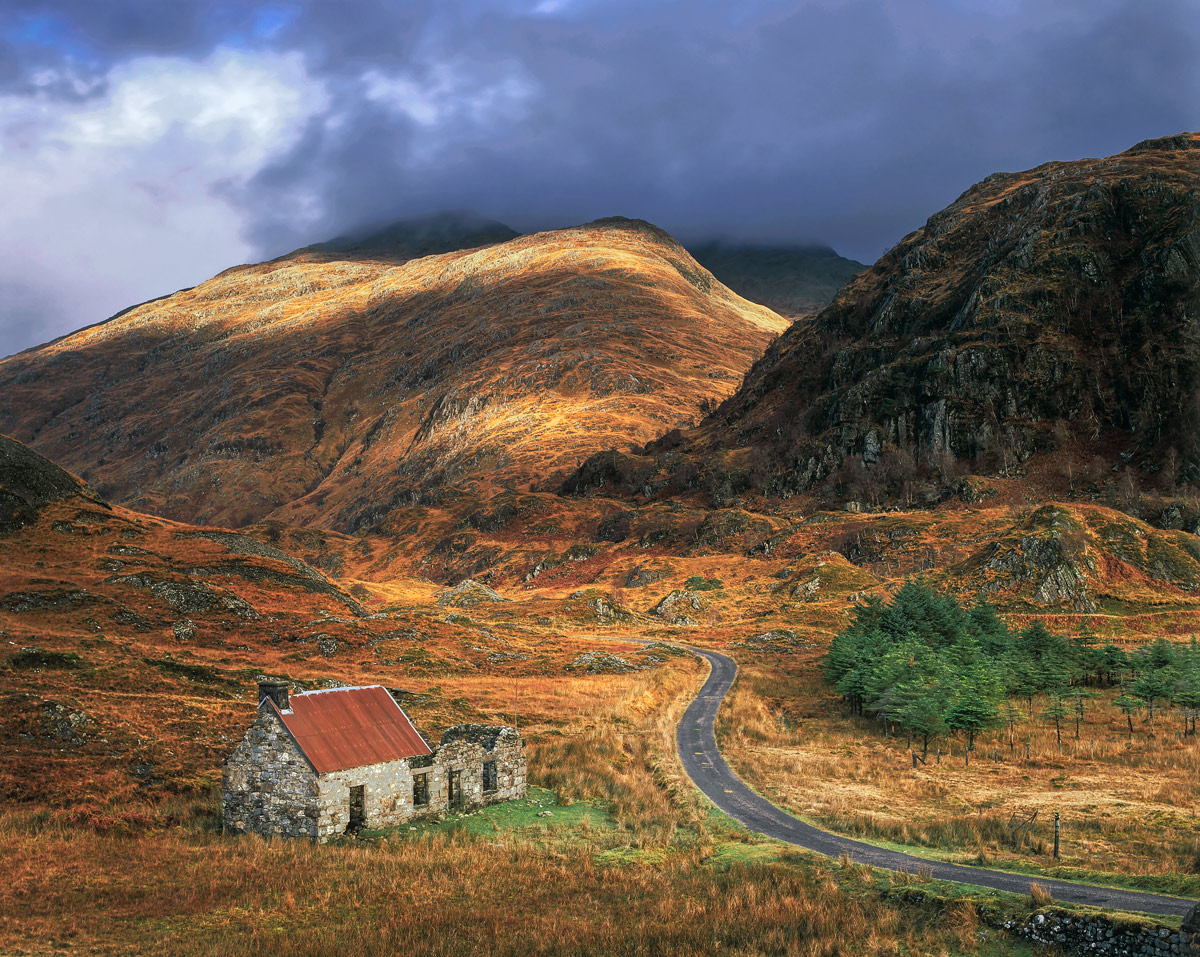 Scenic Dereliction