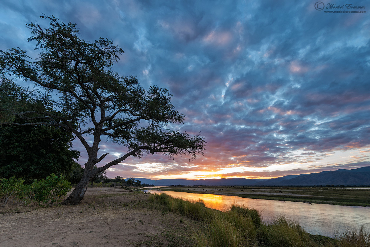 Sunset on the Zambezi