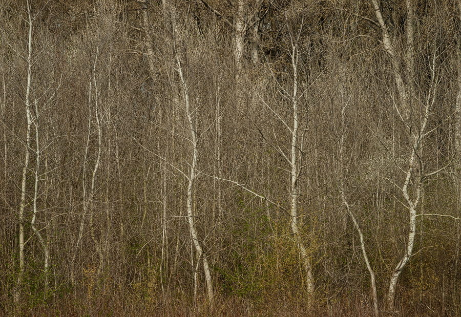 Floodplains Textures