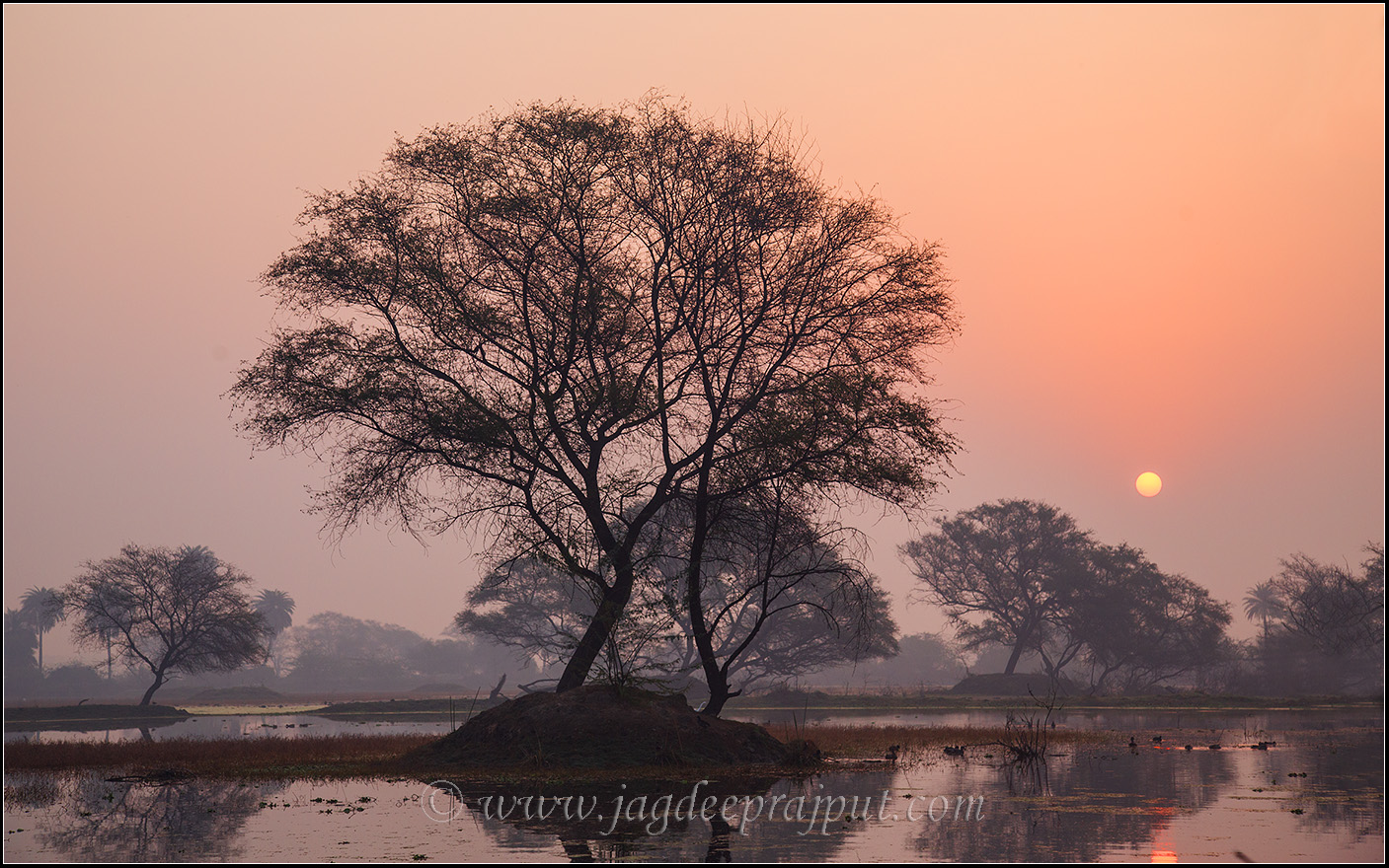 Sunrise in Bharatpur