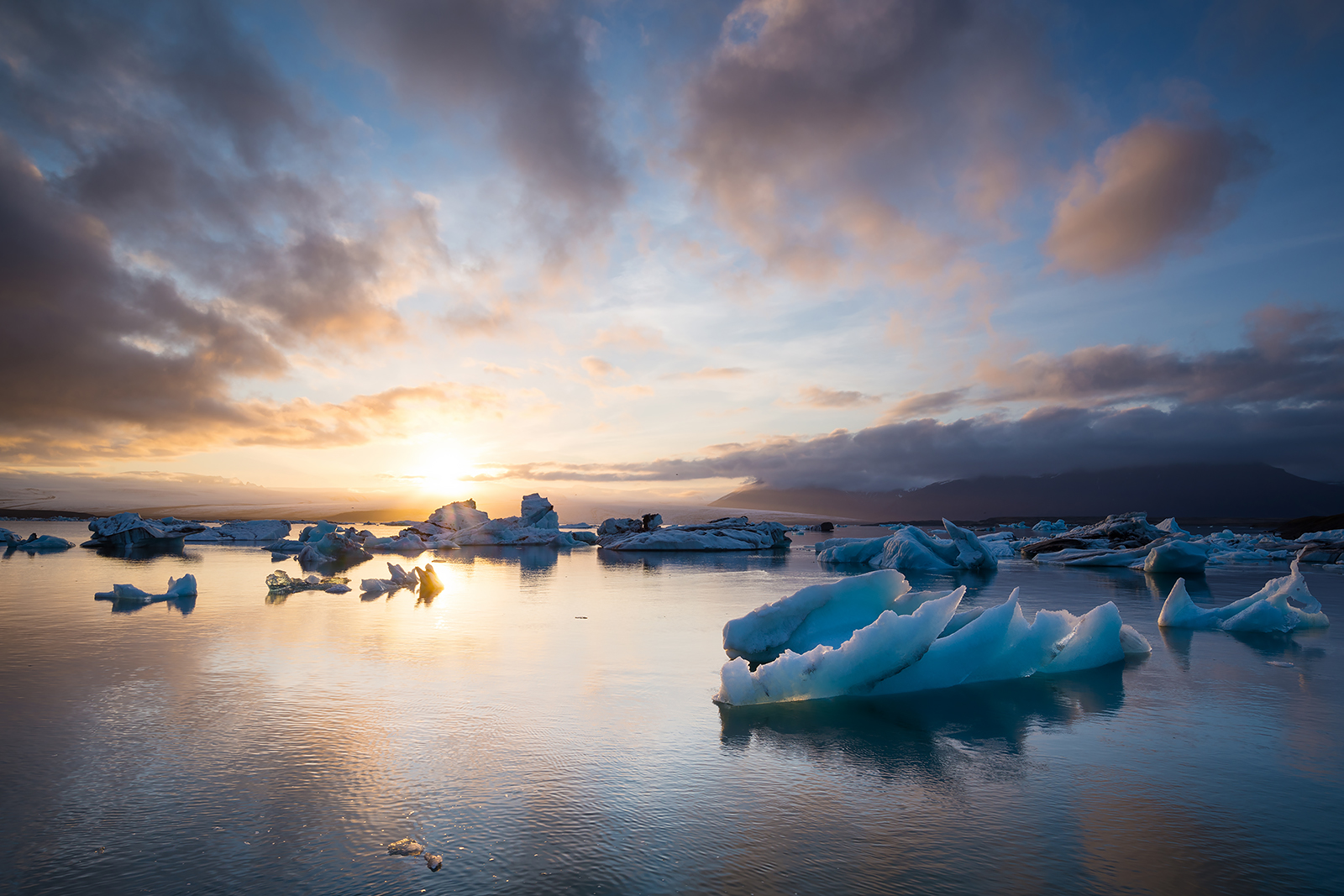 Frozen Fleet