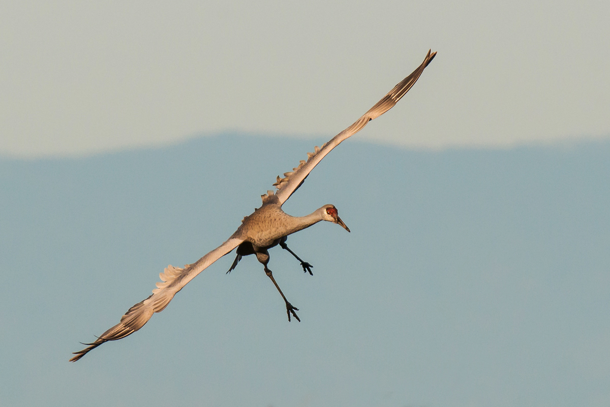 Final Approach