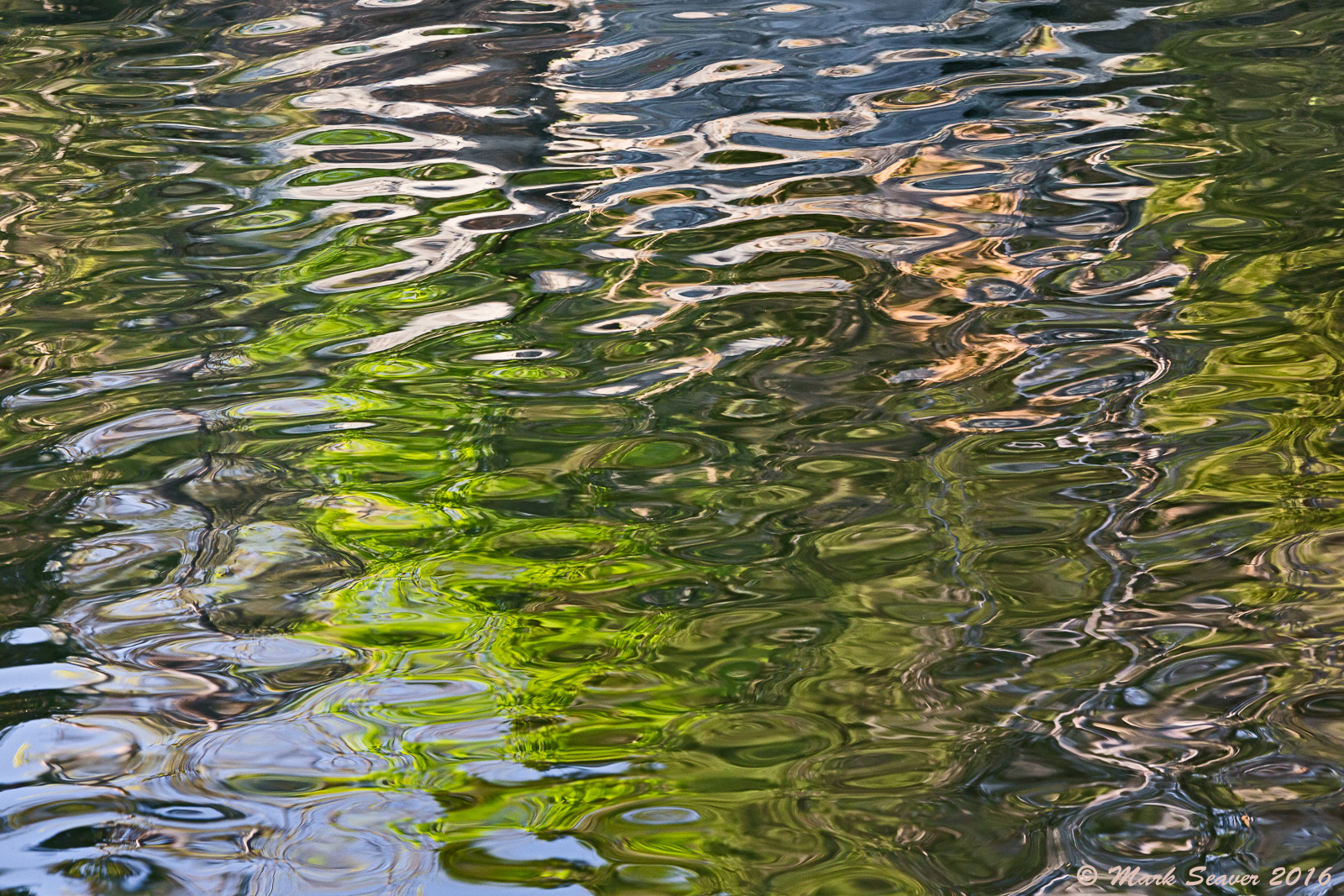 Spring Reflections