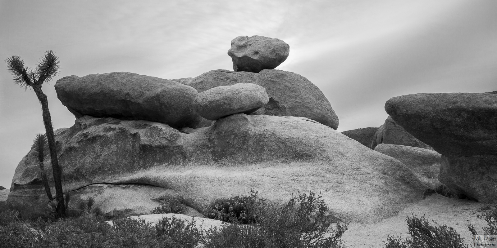 More Josh Tree Rock + Repost 