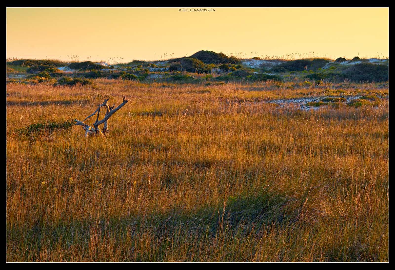 Last Light on the Dune