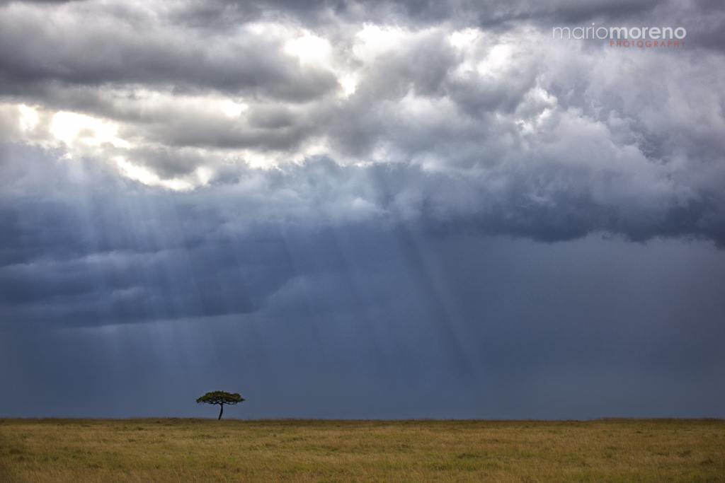 Maasai Mara Weather