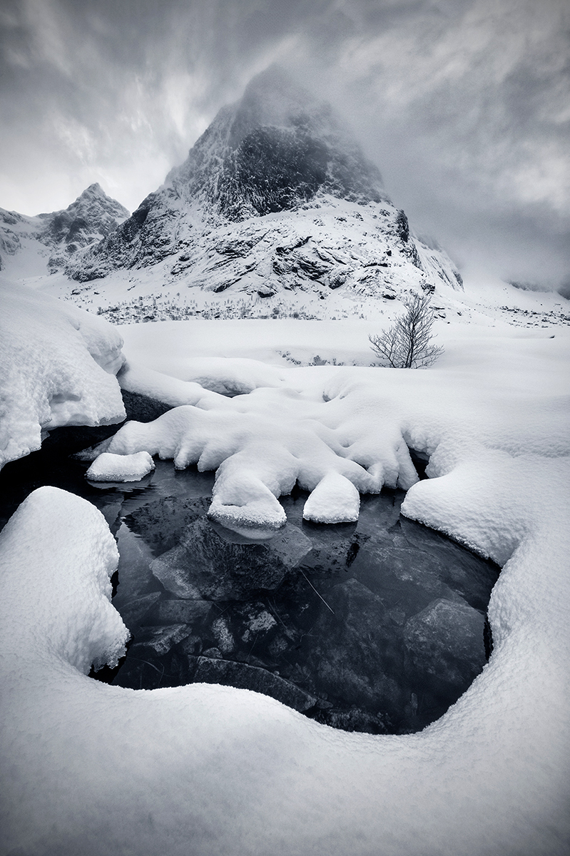 Great Northern Land
