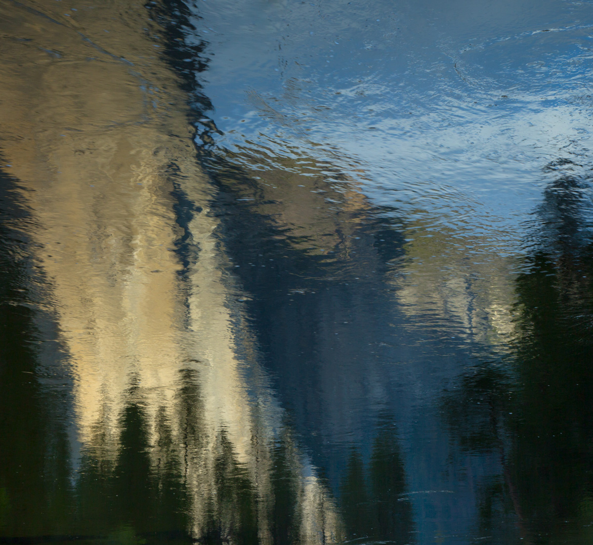 Morning Light on the River
