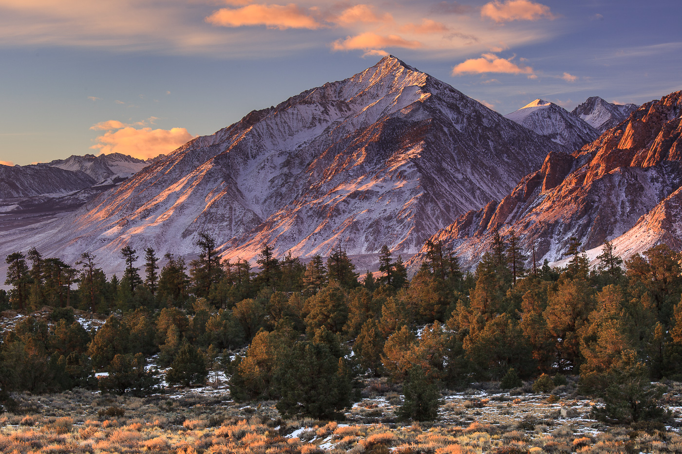 Mt. Tom
